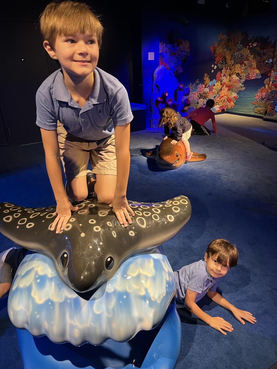 The Savvy Mama Lifestyle NC Aquarium Kids Area