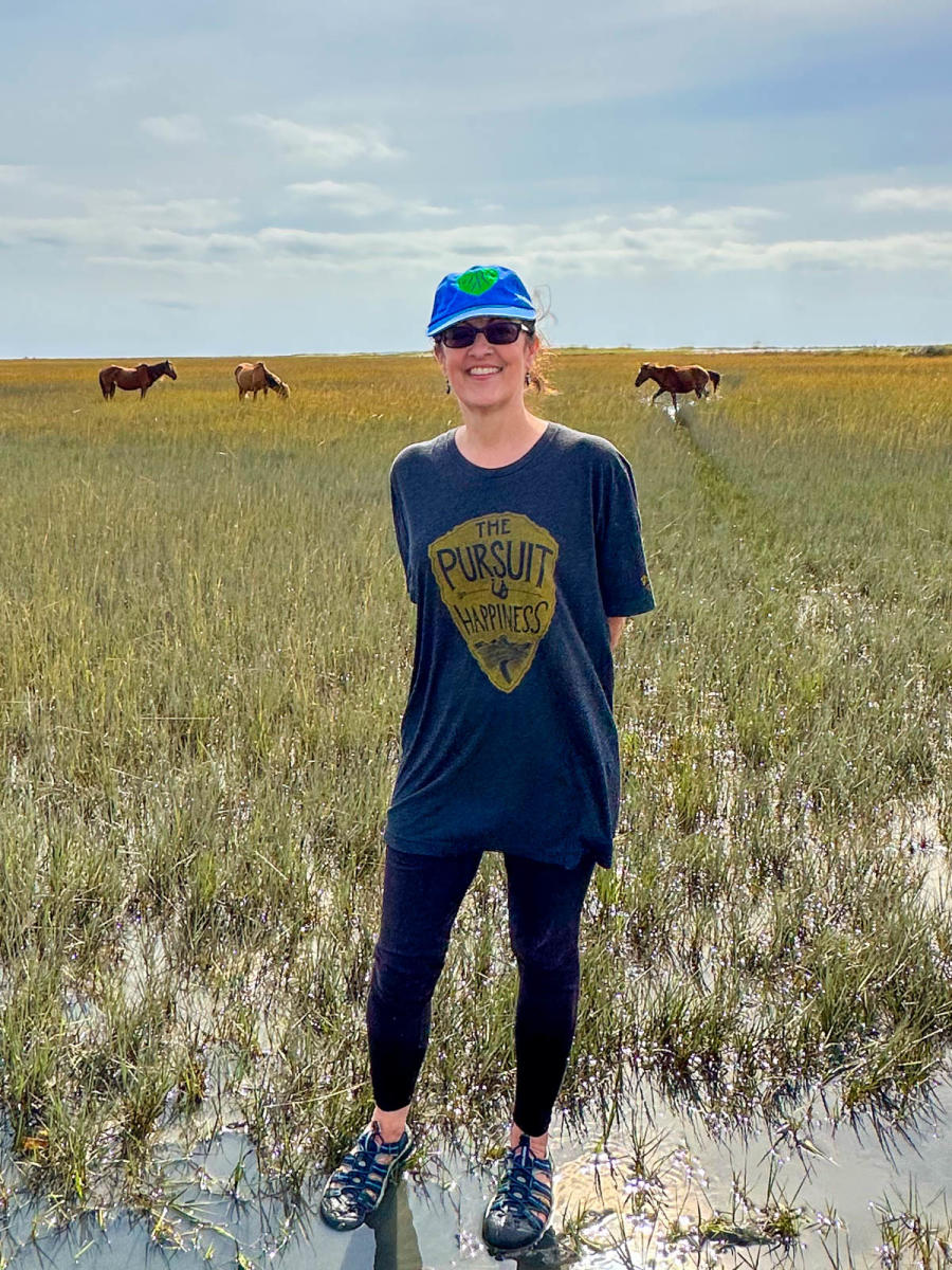 Liz Mays Wild Horses