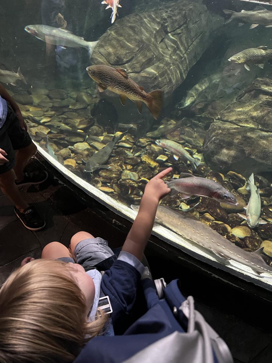 The Savvy Mama Lifestyle NC Aquarium at PKS