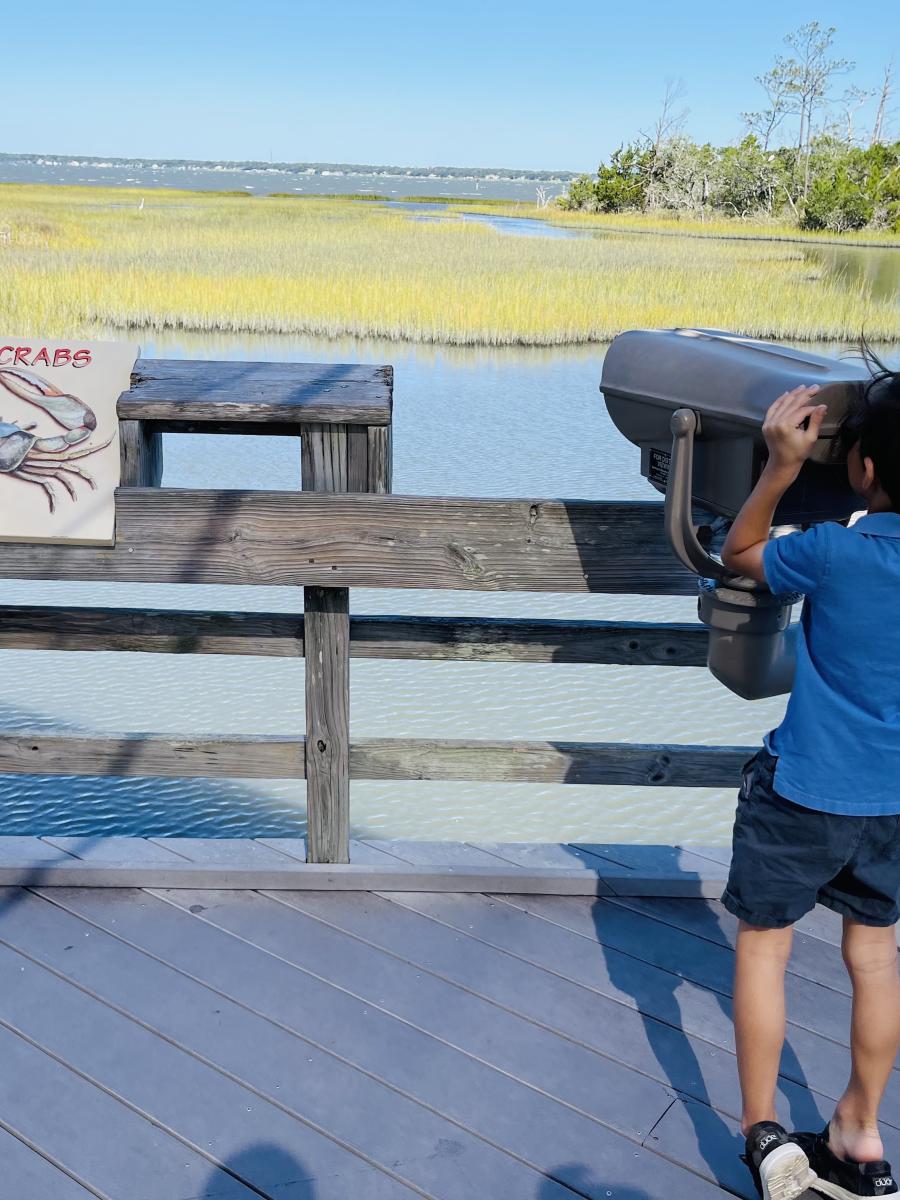 The Savvy Mama Lifestyle Fort Macon