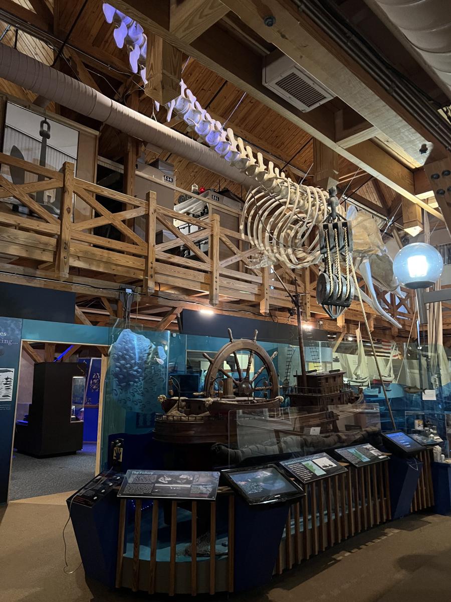The Savvy Mama Lifestyle NC Maritime Museum