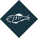 fish icon
