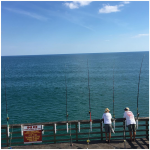 Catch a fish.