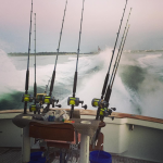 Catch a fish