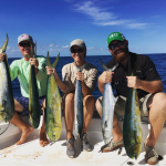 Catch a fish