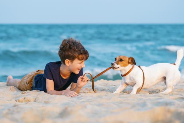 Boy with dog on the beach