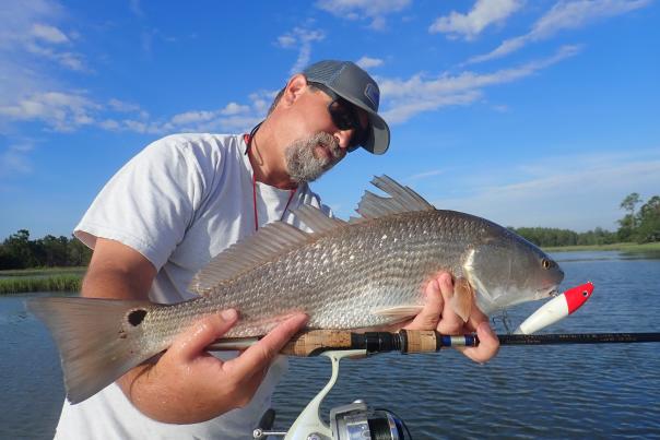 Nick Honachefsky Sportfishing