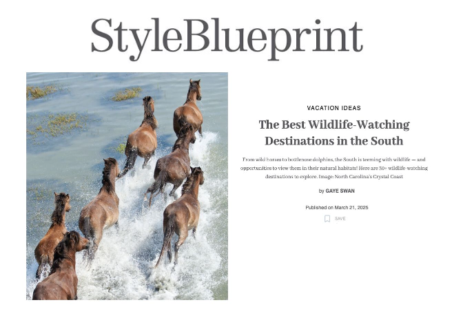 StyleBlueprint Press Cover