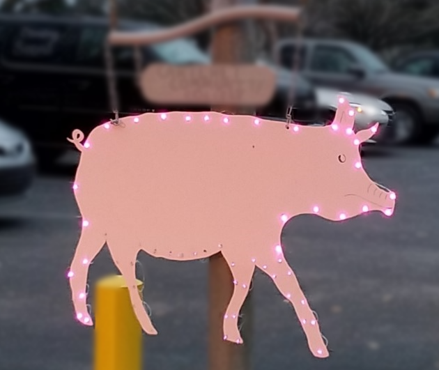 Newport Pig Drop