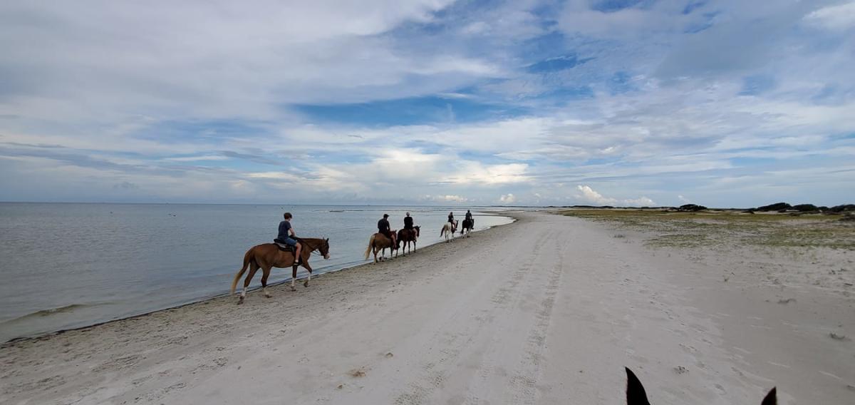 Cedar Island Resort Horseback Riding