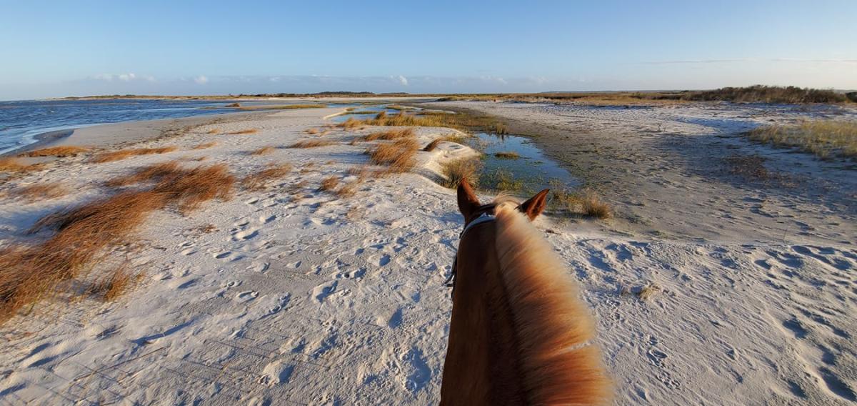 Cedar Island Resort Horseback Riding