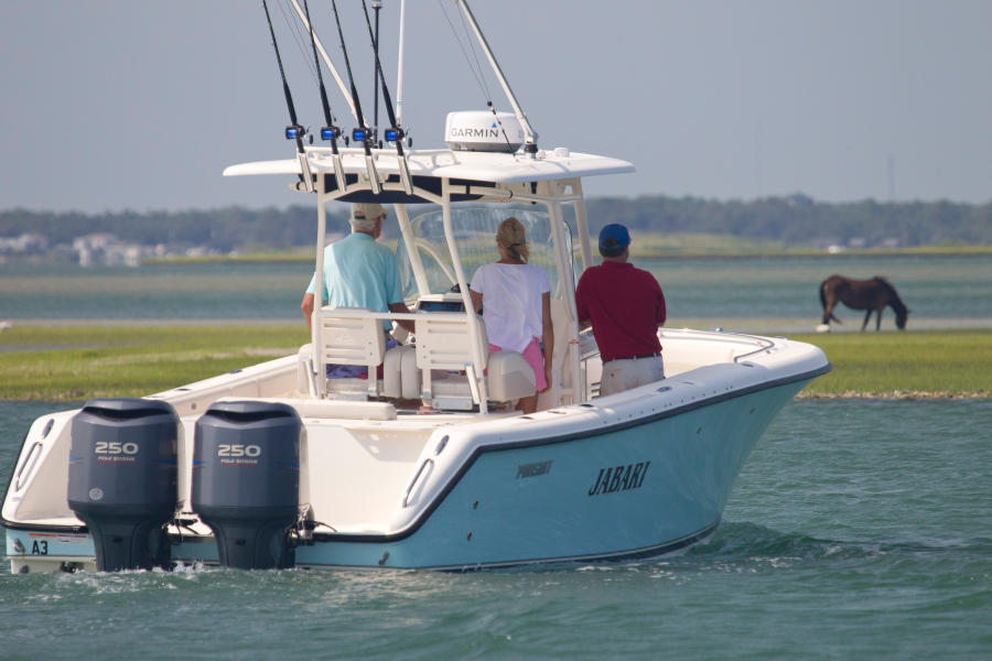 People on boat watching horse in the distance in the marsh