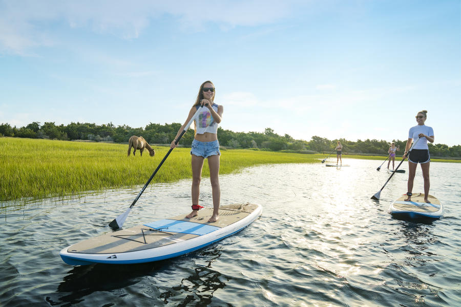 People paddle boarding on the water with a horse grazing in the marshland behind them