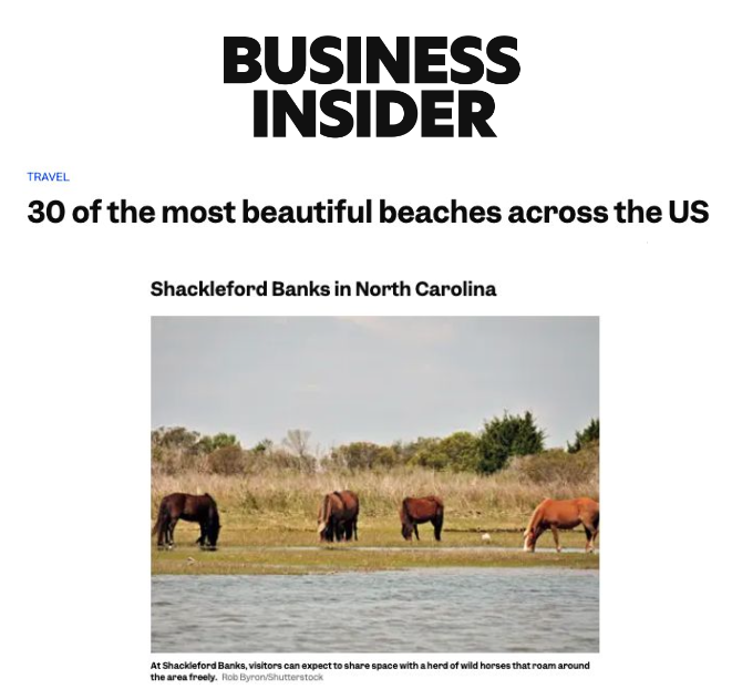 Business Insider Press Cover