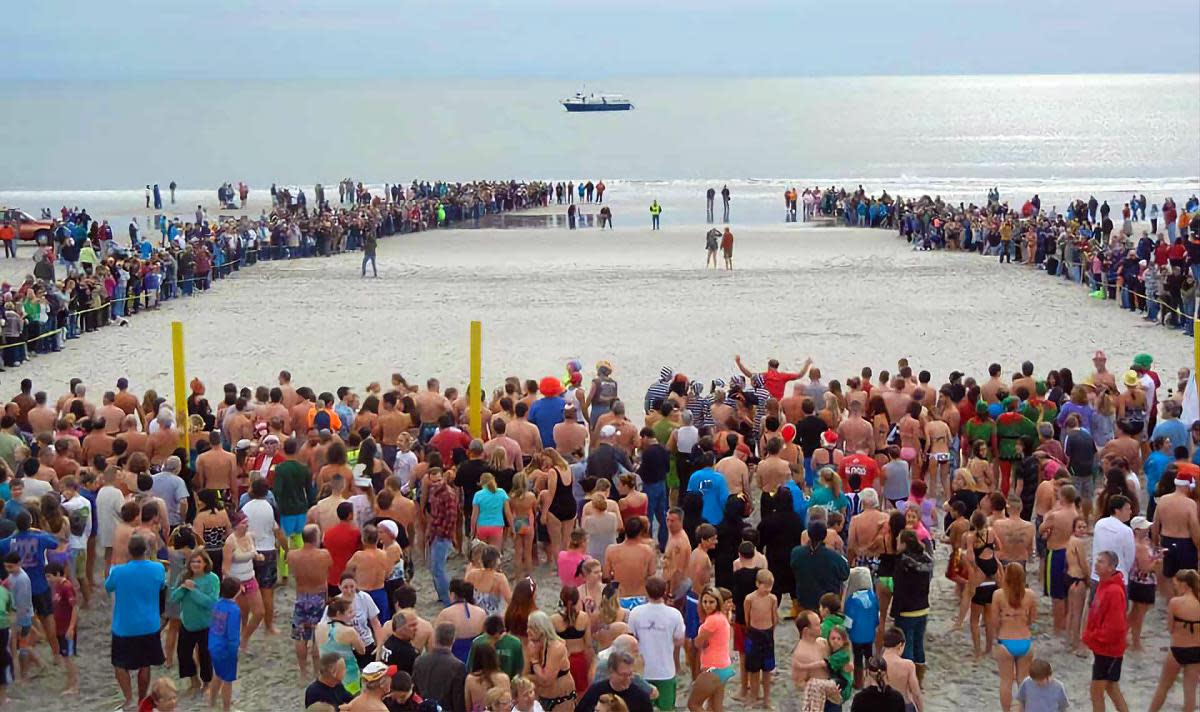 Penguin Plunge