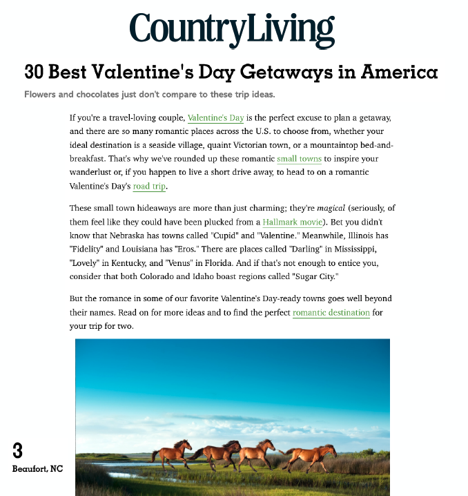 Country Living Valentine's Day