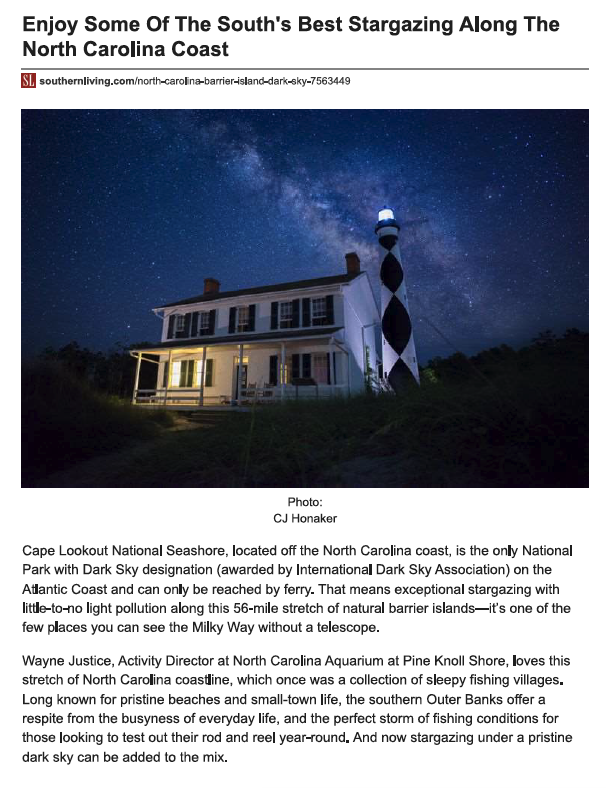 Southern Living Dark Sky Cover