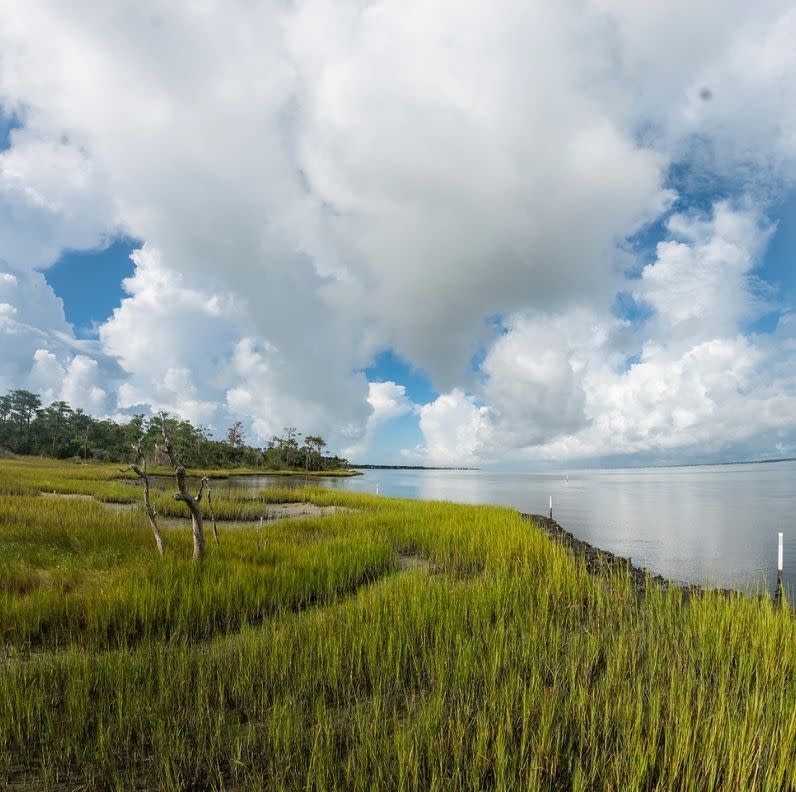 Roosevelt Nature Trail