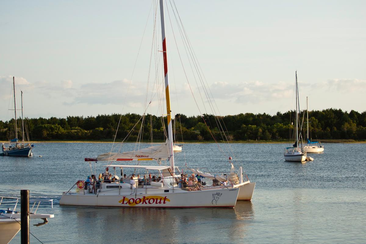 Lookout Cruises Sunset