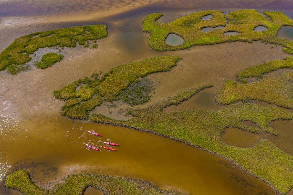 Aerial of kayakers in the marsh