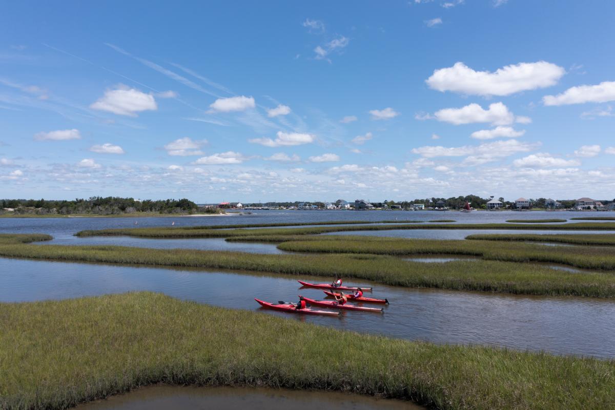 paddle