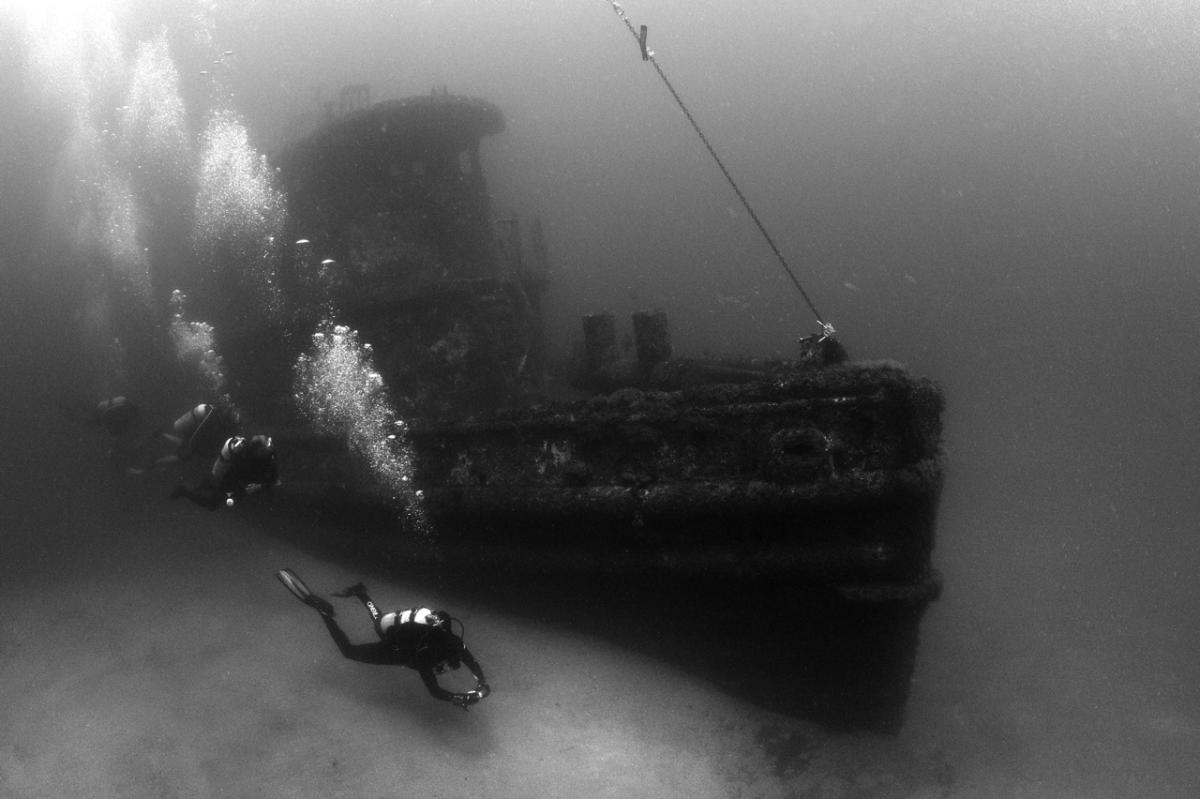 Black and White Dive