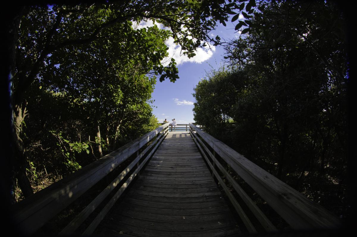 Pine Knoll Shores Beach Access