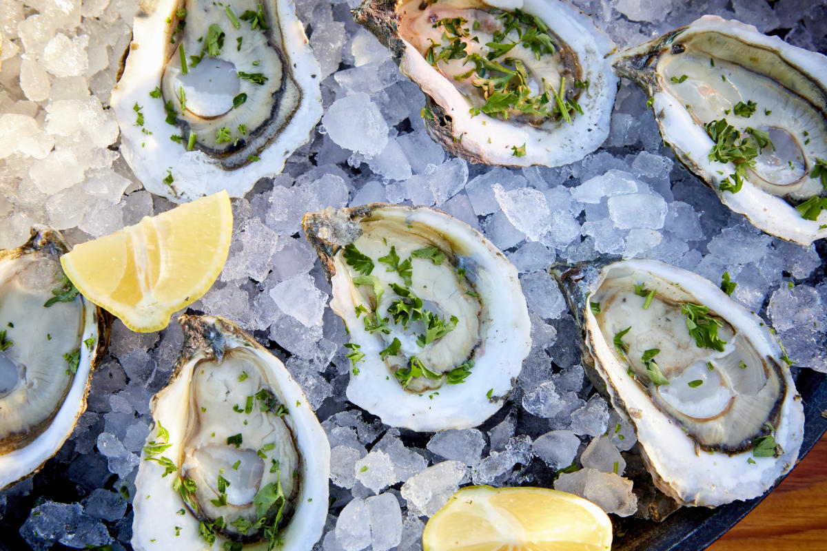 Shuckapalooza
