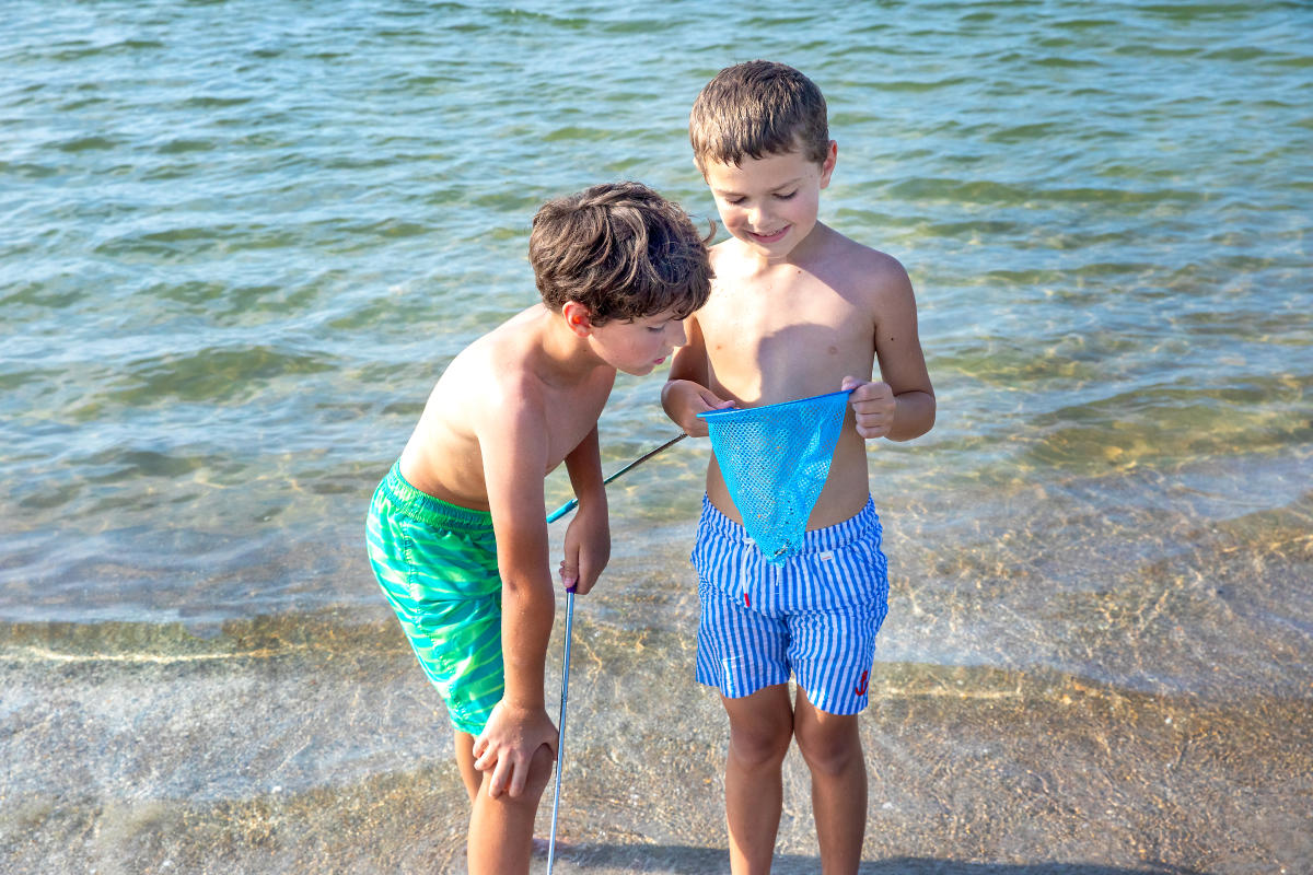 kids with a scoop to catch minnows or hold shells