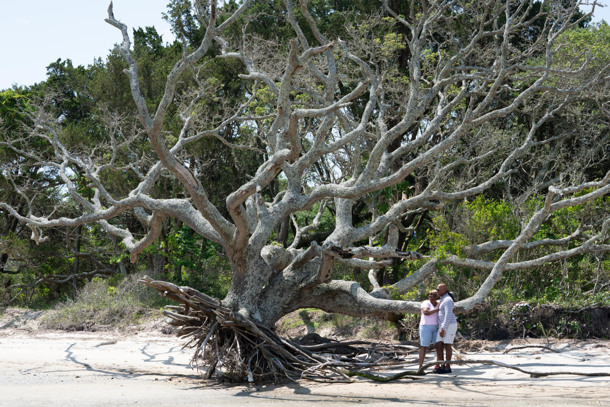 Cedar Island National Wildlife Refuge Area