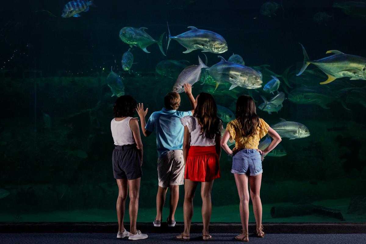 Kids at the aquarium