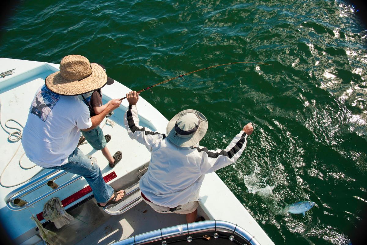 Inshore Fishing Charter