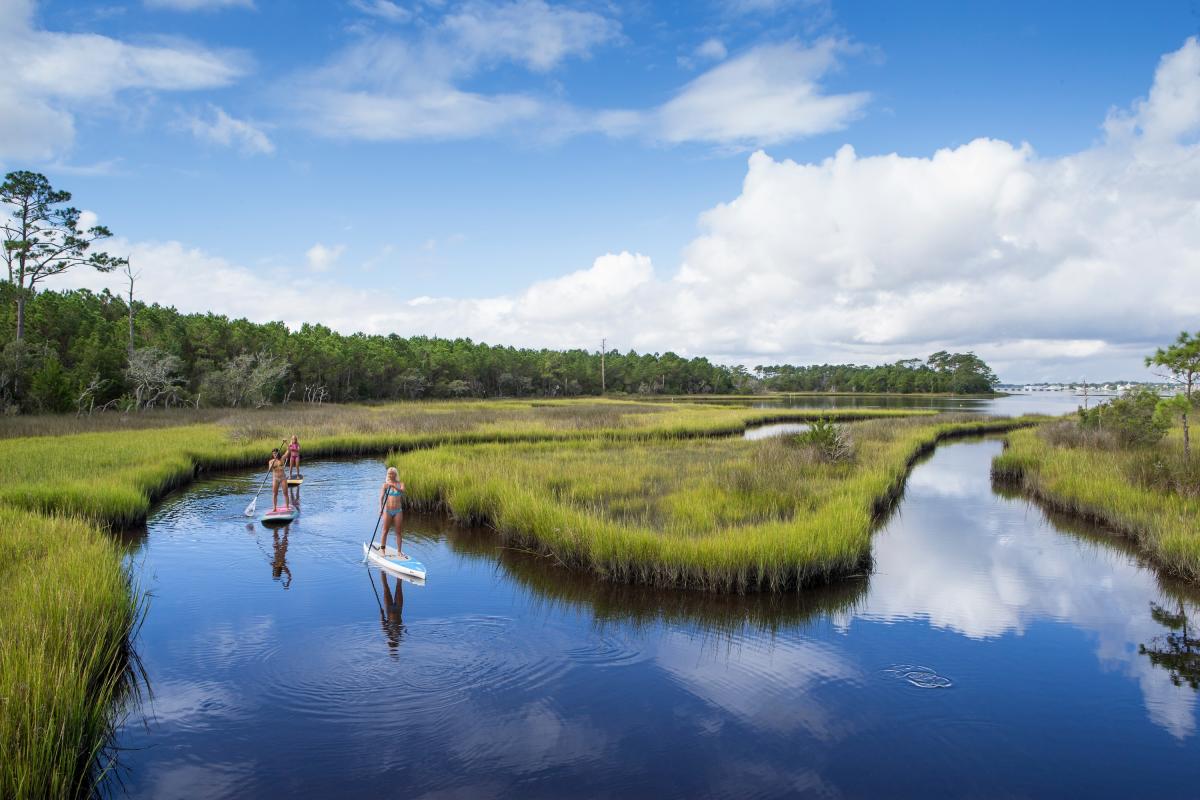 SUP in the marsh