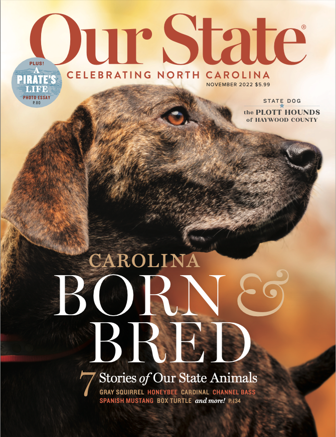 Our State Carolina Born & Bred Cover