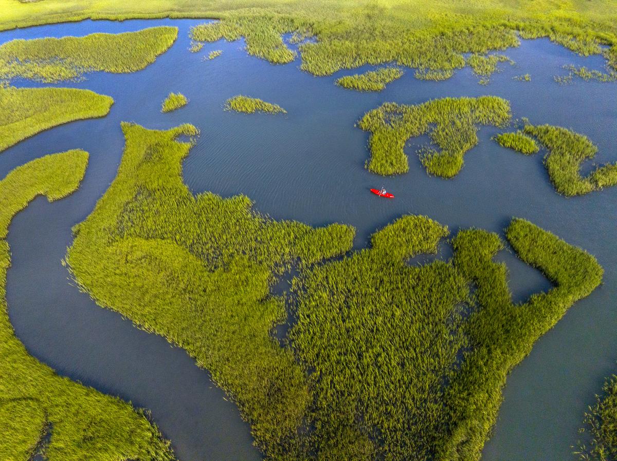aerial view of march with a person kayaking