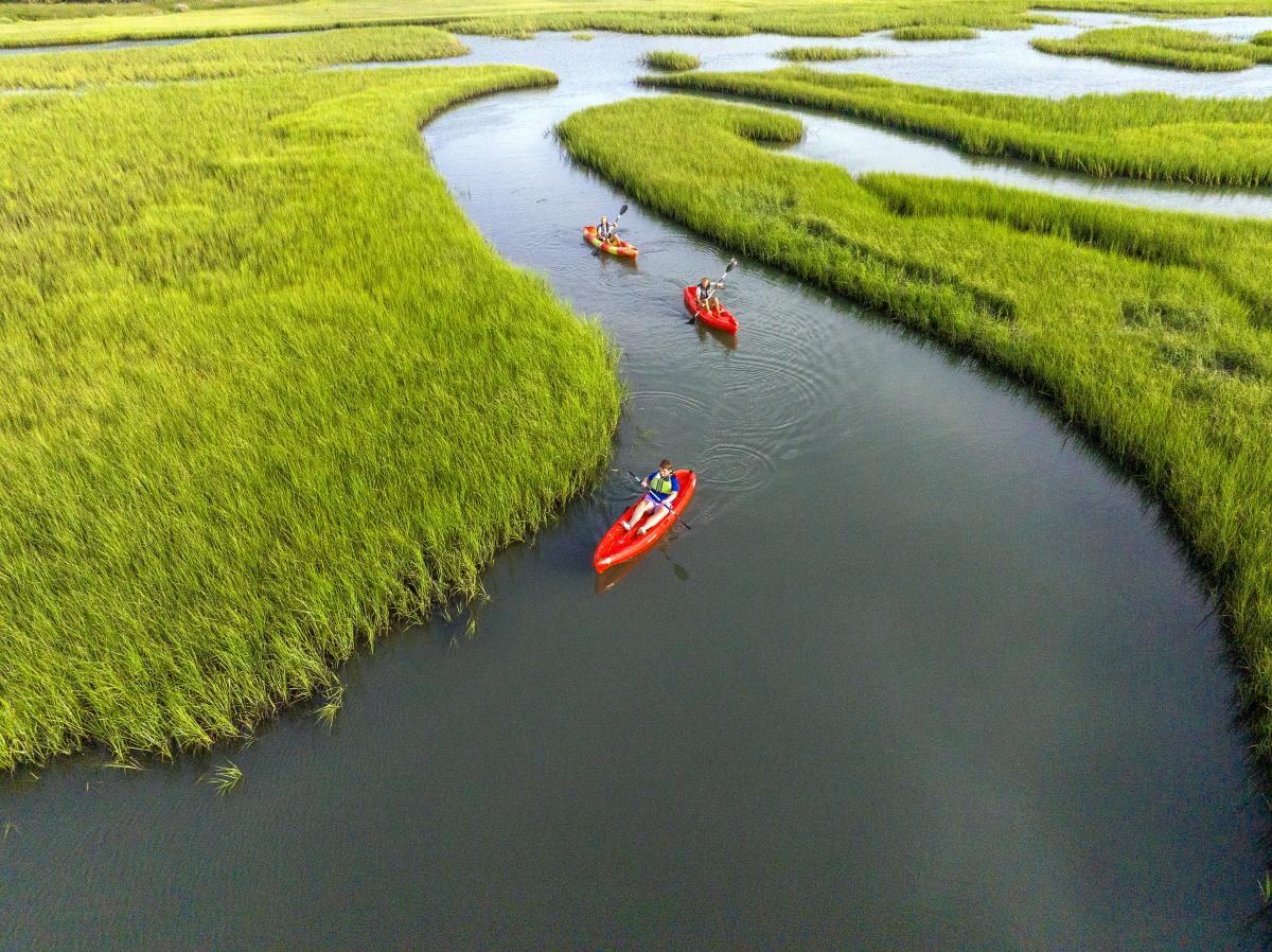 Kayaking in the marsh
