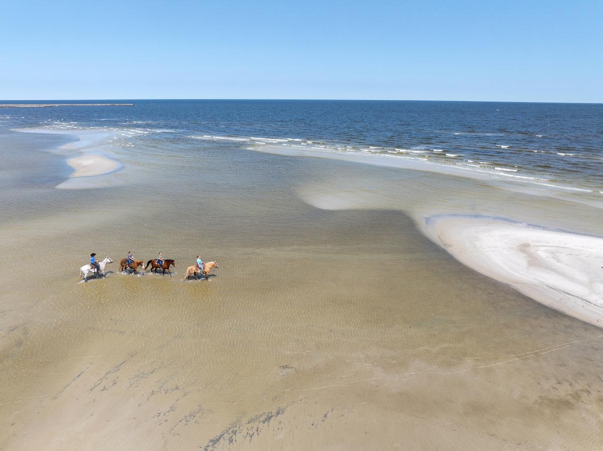 Horseback riding in Cedar Island