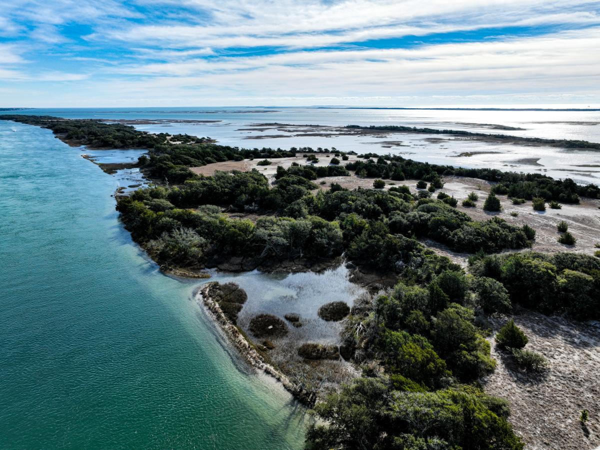 Rachel Carson Reserve
