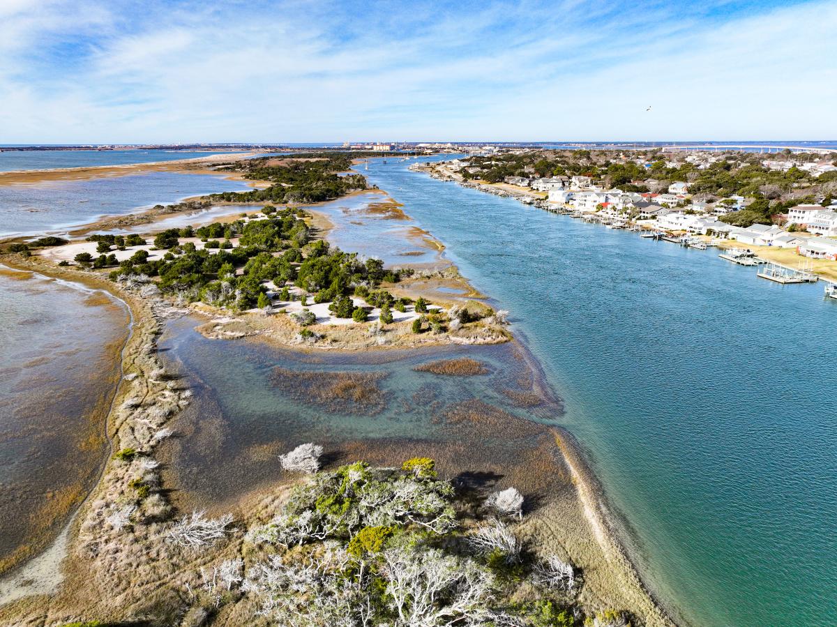 Rachel Carson Reserve