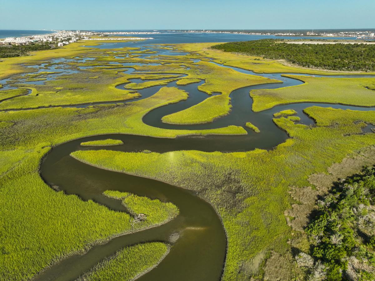 aerial view of backwater marsh with town in the background