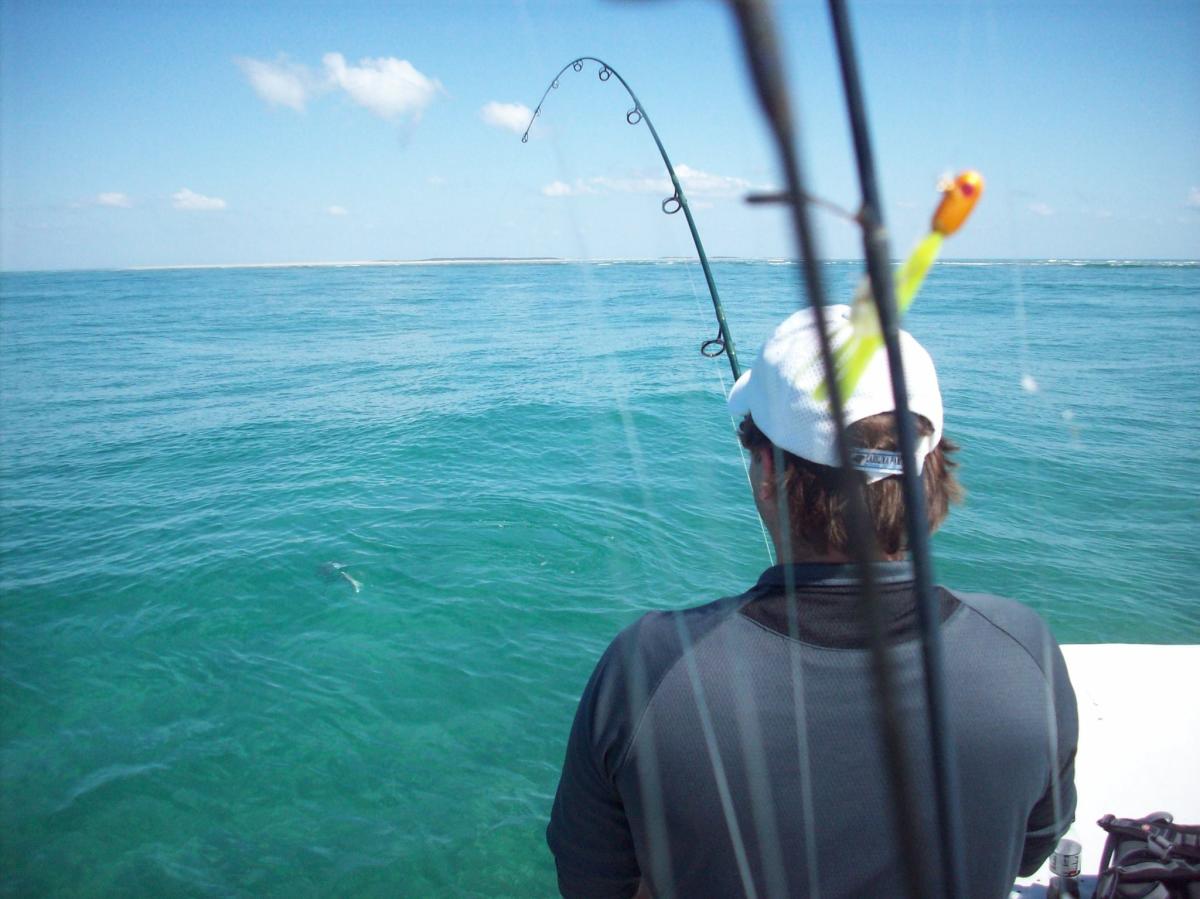Cape Lookout Charters