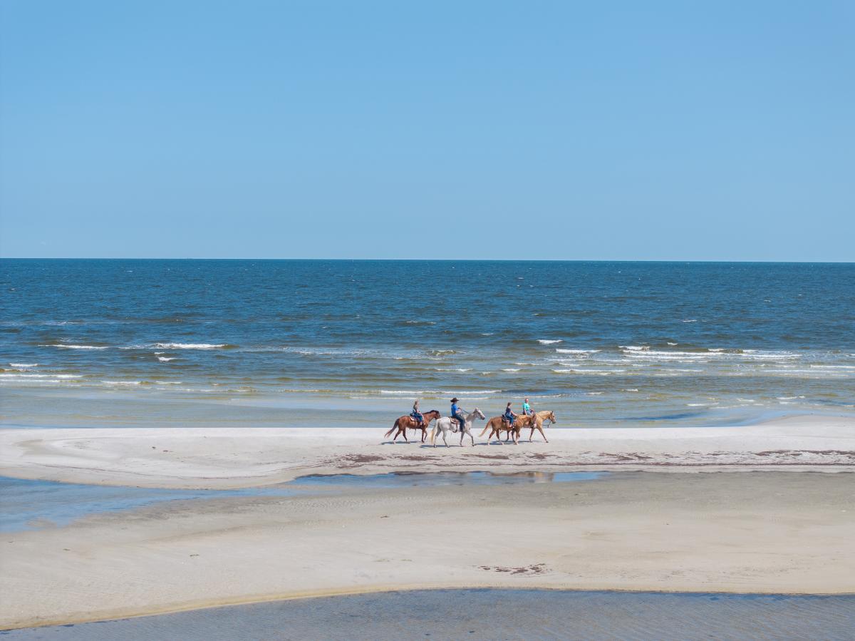Horseback riding in Cedar Island
