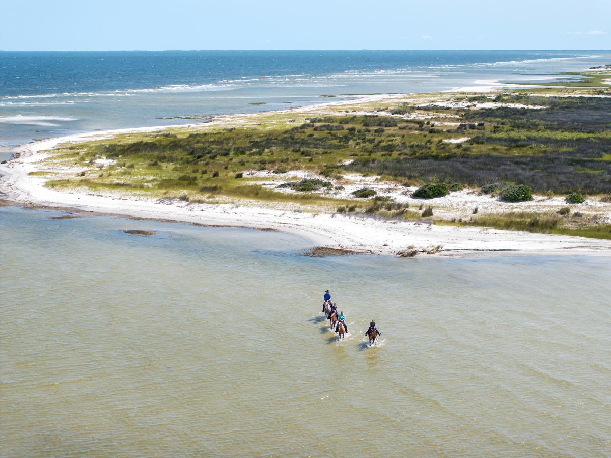 Horseback riding at Cedar Island