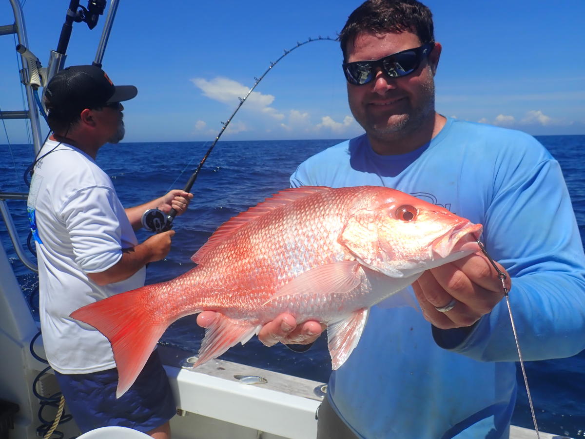 Red Snapper