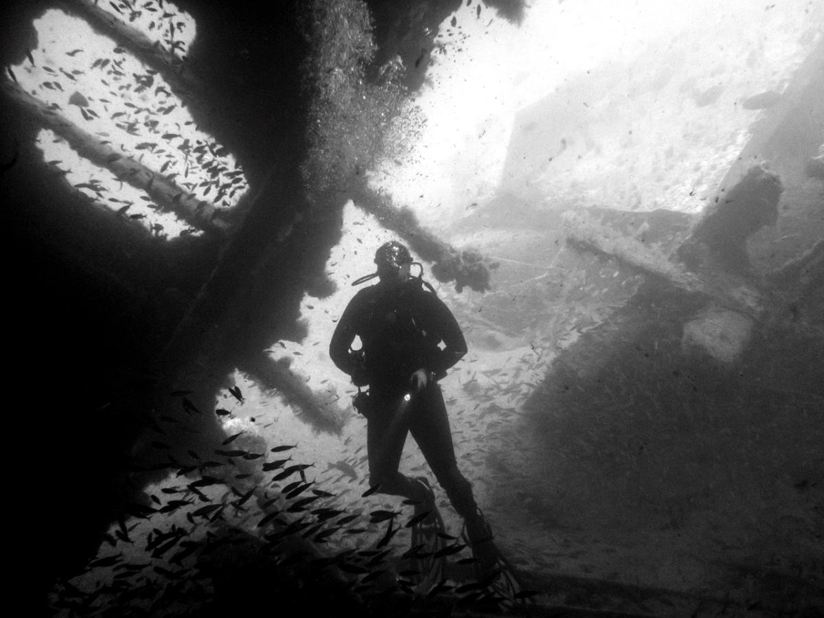 Black and White Diving