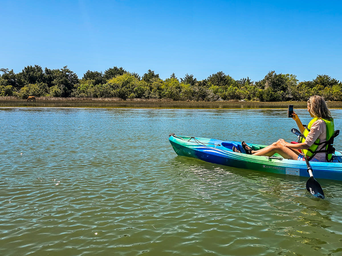 Kayaking Horses