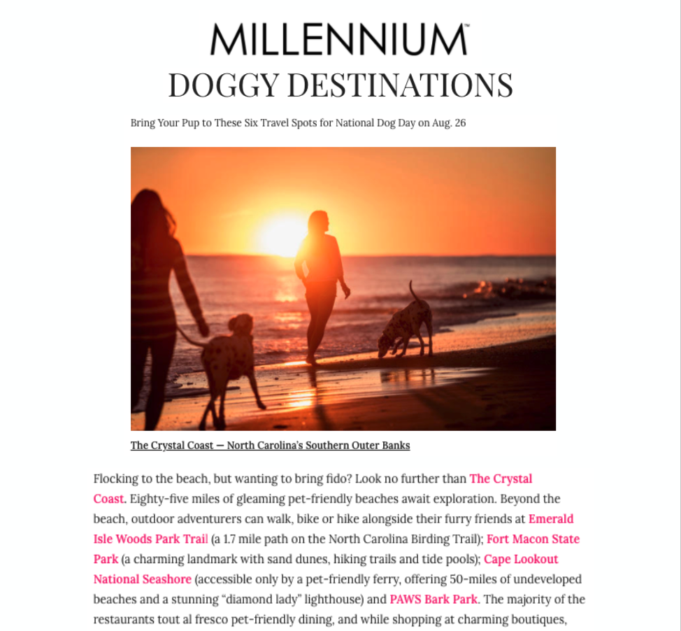 Millennium Press Release Cover
