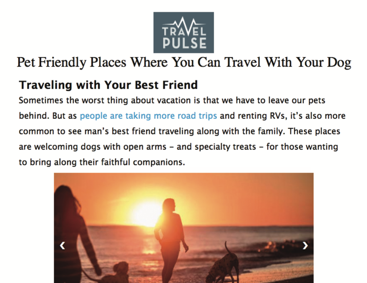 Travel Pulse