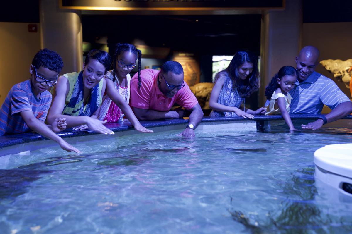 Things to Do with Kids in North Carolina - Crystal Coast