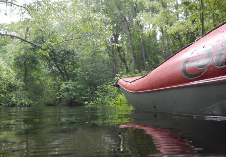 Go Kayaking Tours